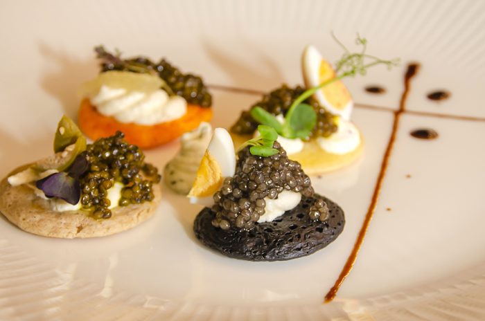 Esetrovi-cherni-haiveri-ot-caviar-bg-caviar-house-kyshtata-na-haivera-bg